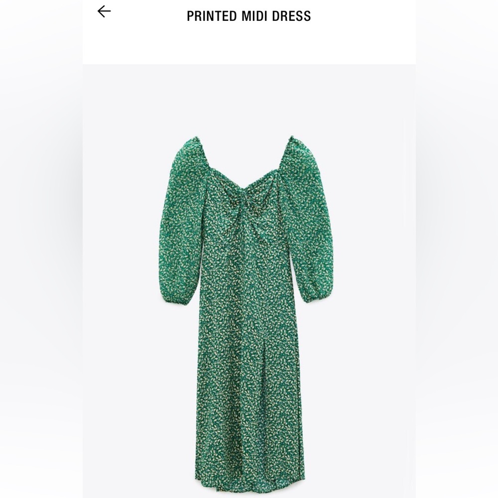 Zara dress
